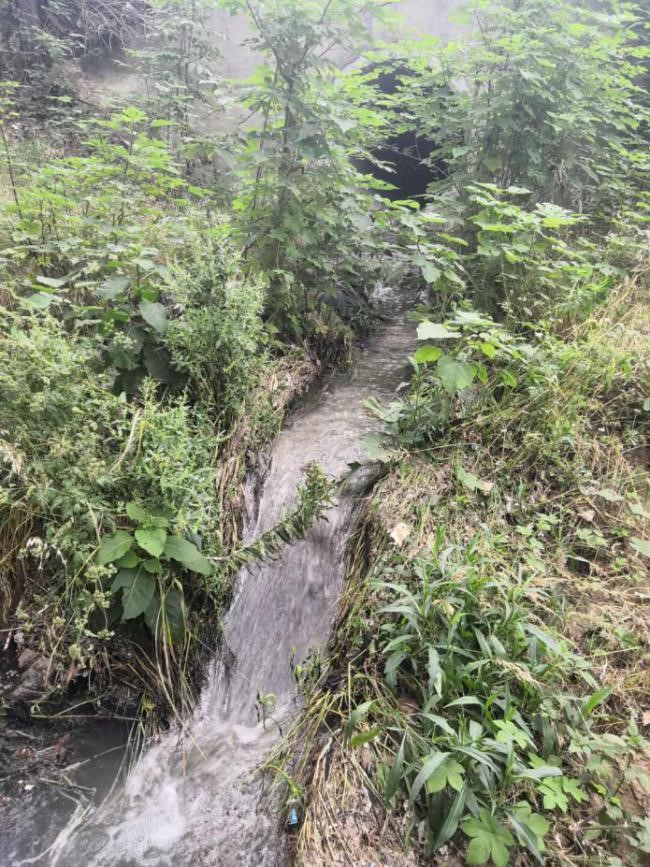 河道及黑臭水體治理